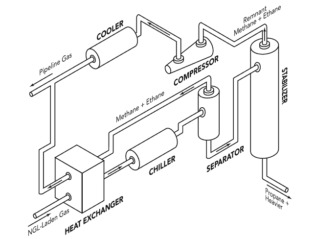 nlg plant graphic