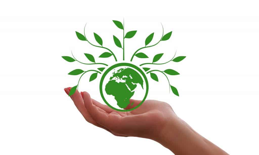 hand, keep, globe
