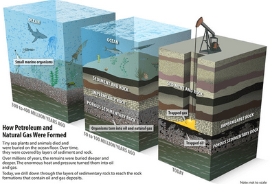 what is oil made from